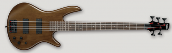 Ibanez GSR-205B WNF