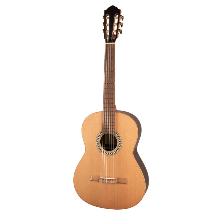 Höfner HLE-EUZ24 - Zeder / Eucalyptus limited Edition