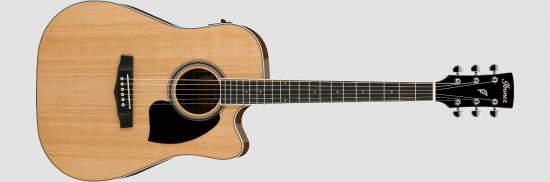Ibanez PF-15ECE-NT
