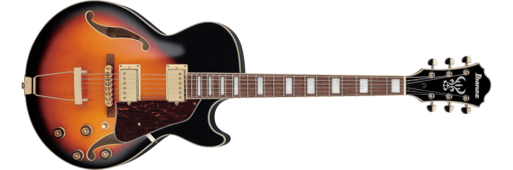 Ibanez AG75G-BS Artcore E-Gitarre Hollow Body Brown Sunburst