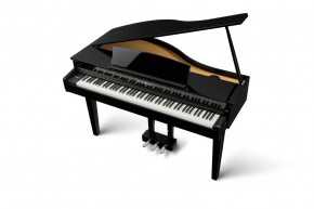 Kawai DG 30 Digitalpiano