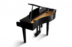 Kawai DG 30 Digitalpiano