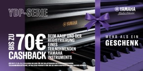 Yamaha YDP-165 B Piano