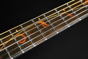 Ibanez AE295-LGS Westerngitarre mit Cutaway Natural Low Gloss und Pickup