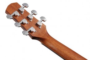 Ibanez AAD50-LG Westerngitarre mit massiver Fichtendecke