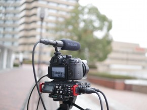 Tascam TM-200SG Mikrofon für Video